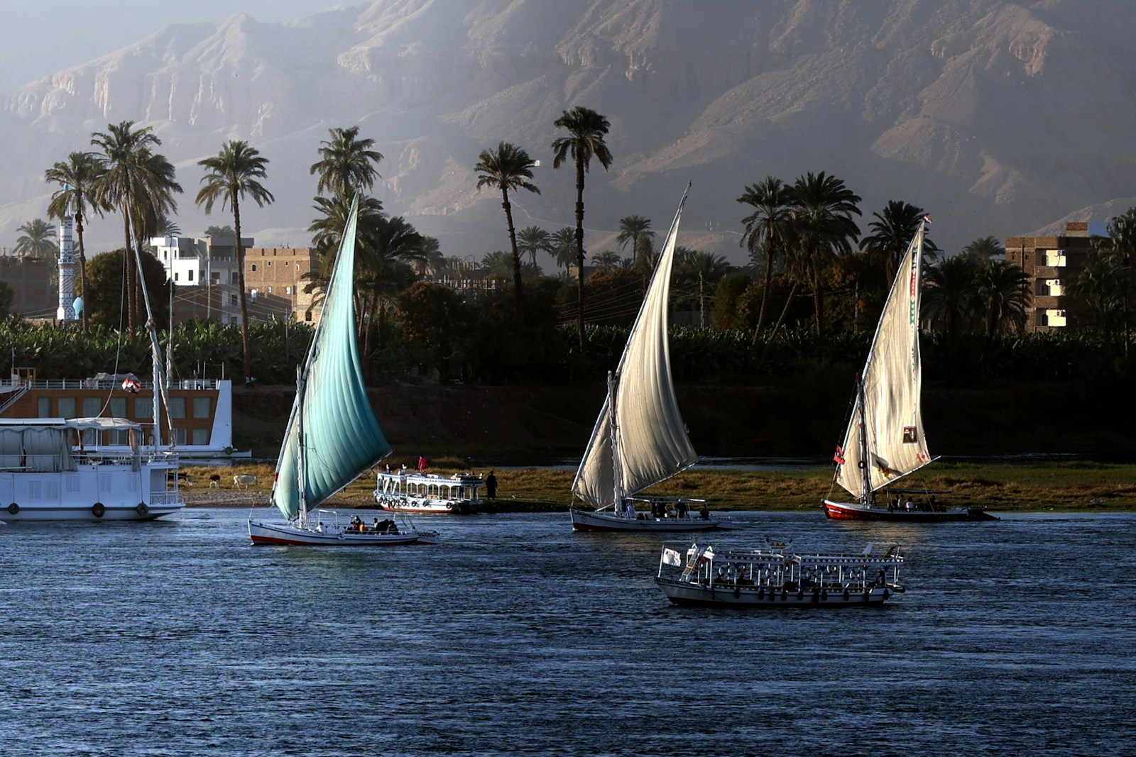 Sailboats on the Nile in Egypt
